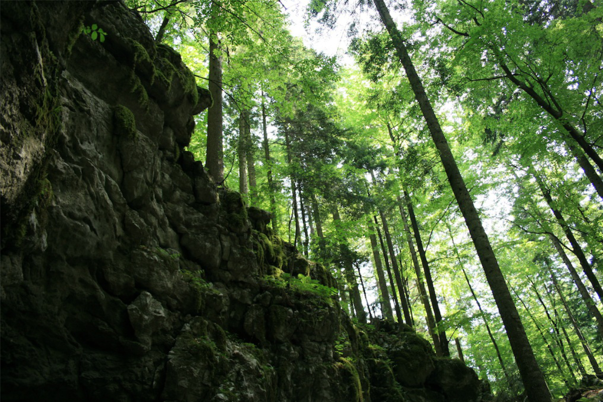 Gorski Kotar Fairy Tale