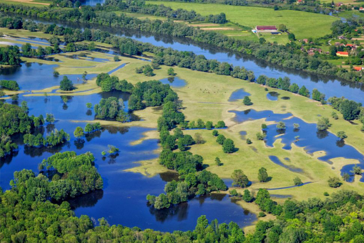 Lonjsko Polje Nature Park