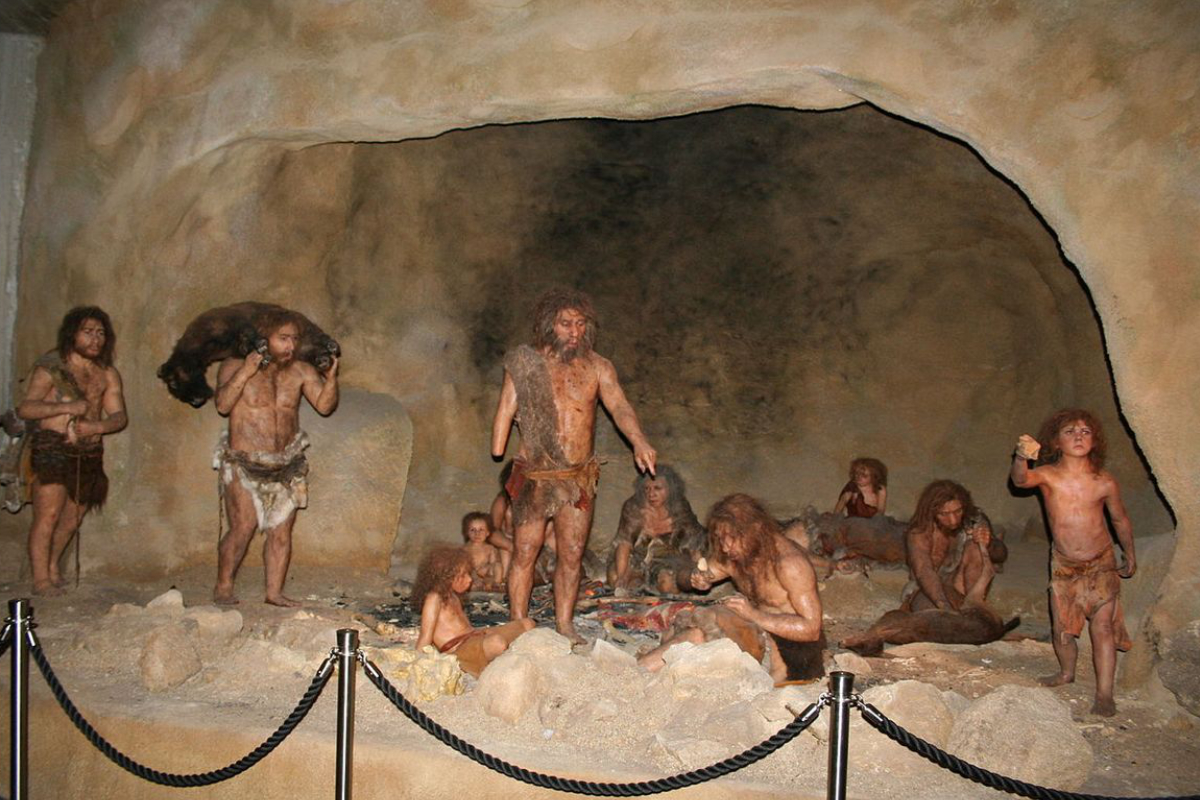 Trakošćan Castle & Krapina Neanderthal Museum + Wine Tasting