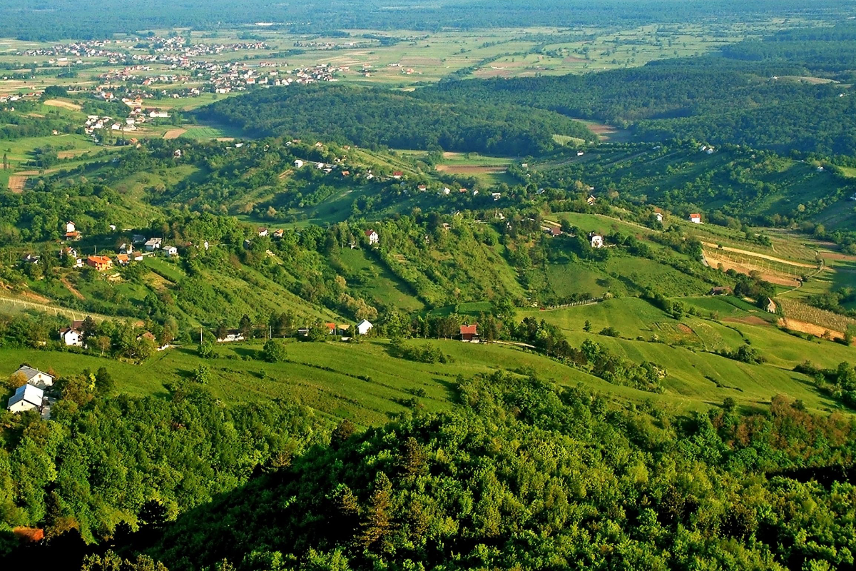 Truffle Hunting Experience