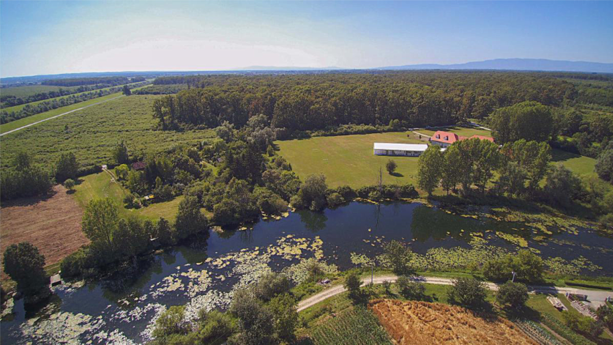 Odranski Ribič – Outdoor setting